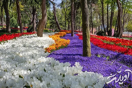 پارک امیرگان در تنگه بسفر تنگه بسفر کجاست, تنگه بسفر استانبول, اهمیت تنگه بسفر